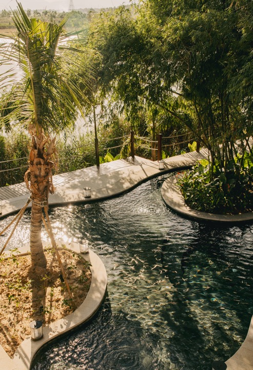 The river-side pool framed by palm trees
